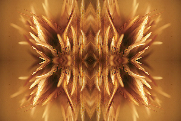 Montage