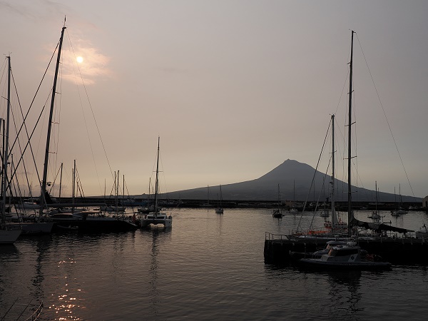 Morgenstimmung mit Pico