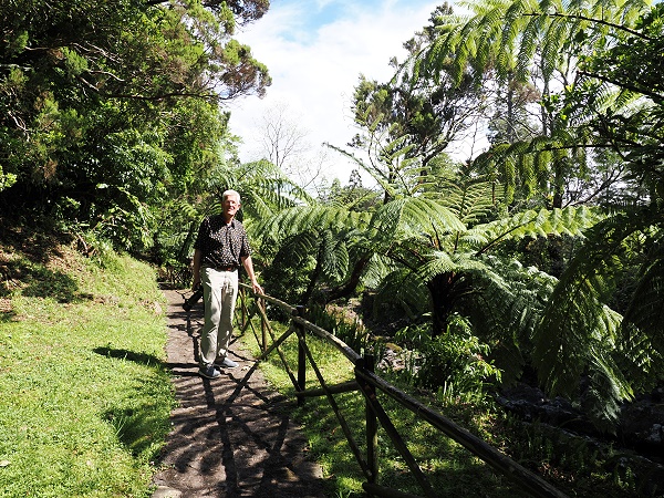 Michael und Baumfarne