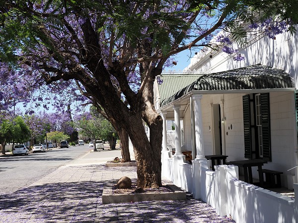 In Graff-reinet